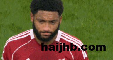 8e1df06bg00t78gk003xrd000ap005ng